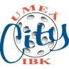 Umea City