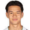 Vogel
