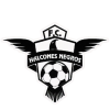 Halcones Negros