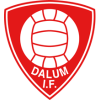 Dalum IF