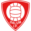 Dalum IF