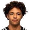 Ryan Rodriguez German
