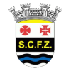 participant