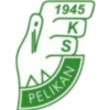 Pelikan