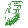 Pelikan