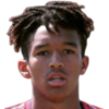 Brown Luke