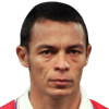Rojas