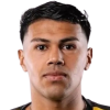 Alvez