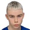 Kristjansson