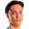 Daniil Vergeichik