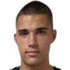 Dimitrov