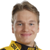 Riekkinen