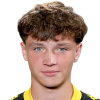 Dziurynets O. (UKR)