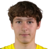 Roman Stesik