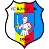 Rohoznik