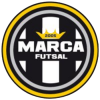 Marca Trevigiana