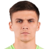 Plotnikov