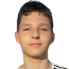 Jarvine