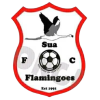 Sua Flamingoes