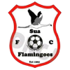 Sua Flamingoes