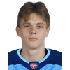 Kalasnikov Yermolai