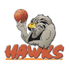 Bay Hawks