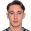 Ibrahimbegovic