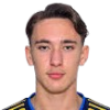 Ibrahimbegovic