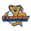 CBR Cobras