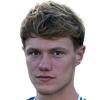 Luuk de Wit