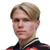 Haikonen