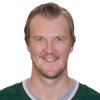 Dubnyk