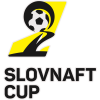 Slovak Cup