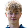 Fuglestad