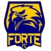 Forte