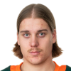 Lehtonen