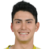 Pinto Noguchi