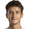 Daniele Trivellin