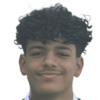 Gaira