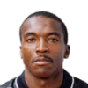 Ibarra