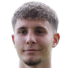 Altin Ibisi