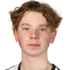 Elias Heikkinen