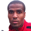 Gotin Ludovic