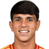 Merino