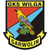 Wilga Garwolin (Pol)