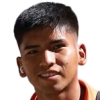 Tejerina