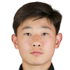 Li