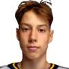 Fjodorovs Brendons