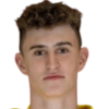 Vachun Dominik