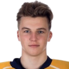 Gabriel Belley-Pelletier